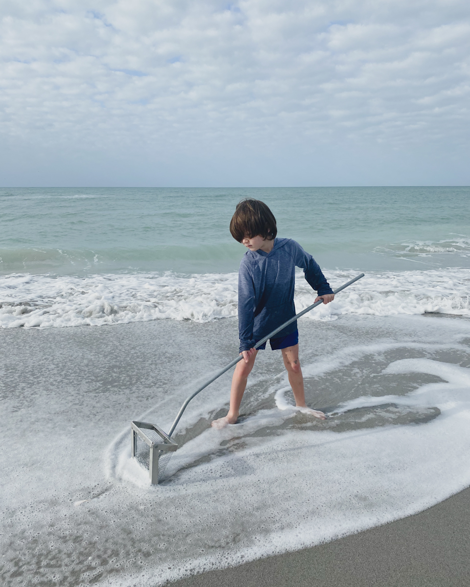 Using a sand sieve to find shark teeth in Venice Florida